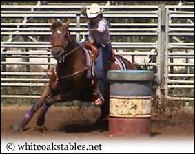 Kat and her barrel racing horse